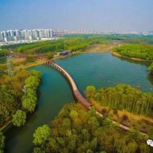 清明節(jié)踏青好地方就在昆山植物園和百草園以及空中長廊哦！