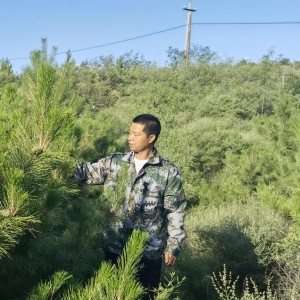 筑牢京津冀生態(tài)屏障 河北13萬余名林長守護(hù)綠水青山